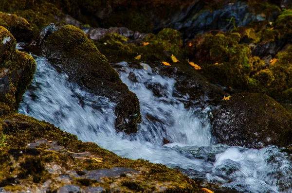 Влітку Кам Янистий Гірський Річковий Водяний Шовк Гірська Річка — стокове фото