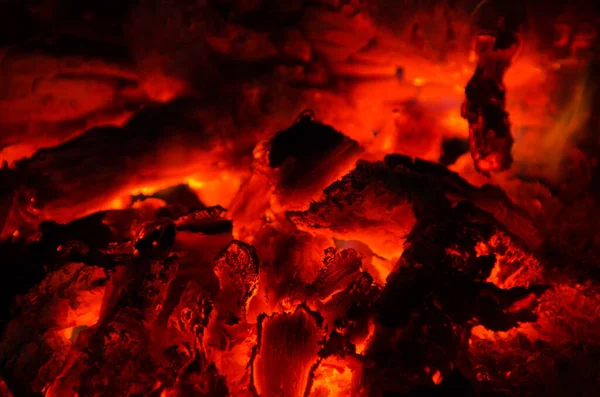 Brasas Queman Fuego Madera Dura —  Fotos de Stock