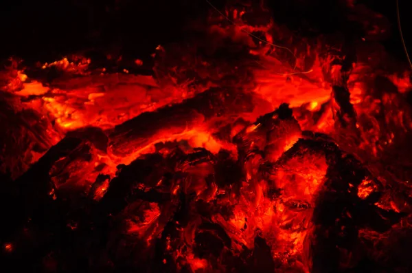 Brasas Queman Fuego Madera Dura —  Fotos de Stock