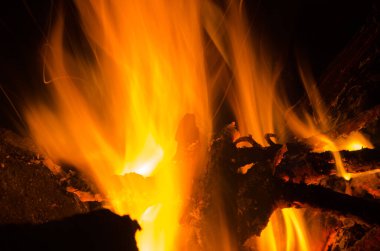 Közler parke bir ateşte yanar..