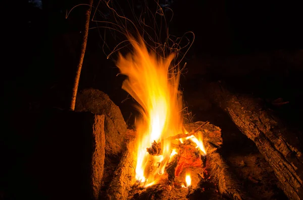Braises Brûlent Dans Feu Bois Dur — Photo