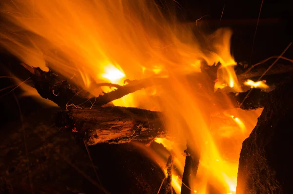 Glut Brennt Bei Laubholzbrand — Stockfoto