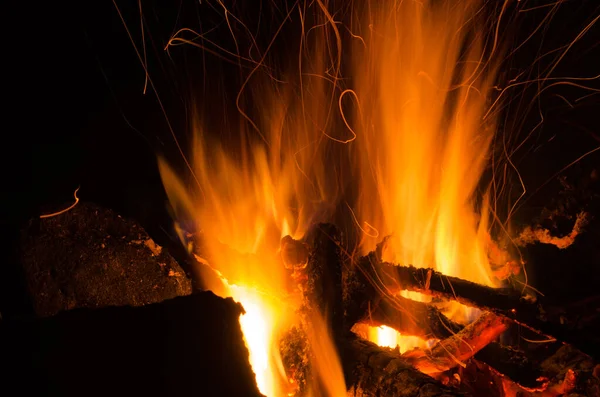 Glut Brennt Bei Laubholzbrand — Stockfoto