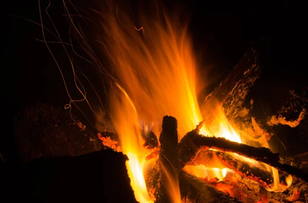 木の炎の中で焼かれ — ストック写真