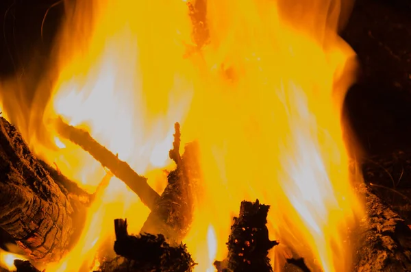 Виноградарі Спалюють Дров Яному Вогні — стокове фото