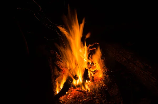 Braci Bruciate Fuoco Legno Duro — Foto Stock