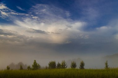 Sabahın köründe, şafakta. Yeşil bir orman üzerinde yoğun mistik sis. Sulu ot.