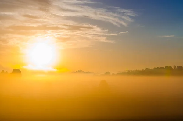 Рано Вранці Світанку Товстий Містичний Туман Над Зеленим Лісом Соковита — стокове фото