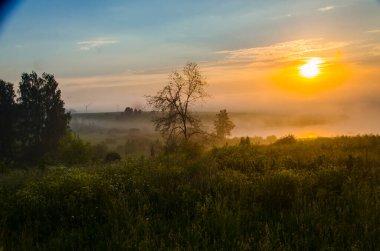 Gölün üzerinde sabah sisi. Ormanda güneş ışığı.