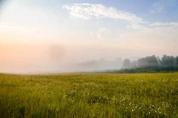 Morgondimma Över Sjön Solljus Genom Skogen Royaltyfria Stockbilder