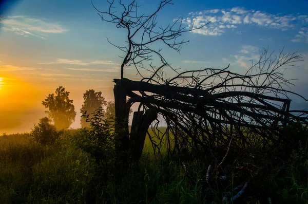 Gölün üzerinde sabah sisi. Ormanda güneş ışığı.
