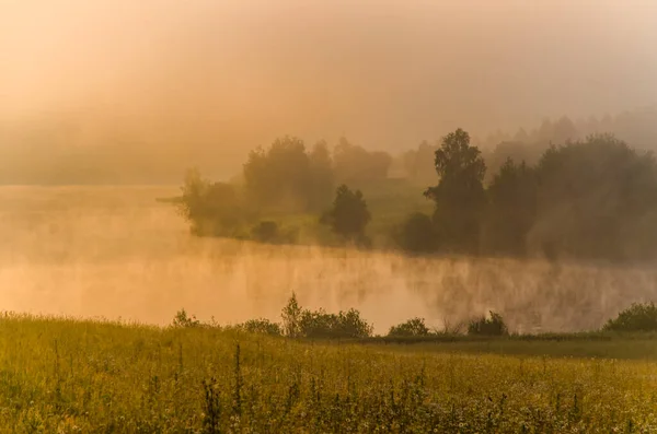 Brouillard Matinal Sur Lac Lumière Soleil Travers Forêt — Photo