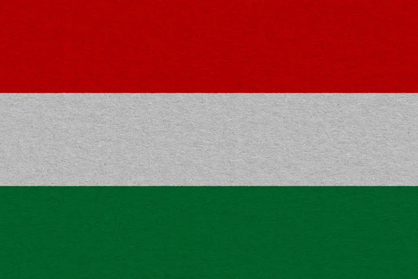 hungary flag painted on paper