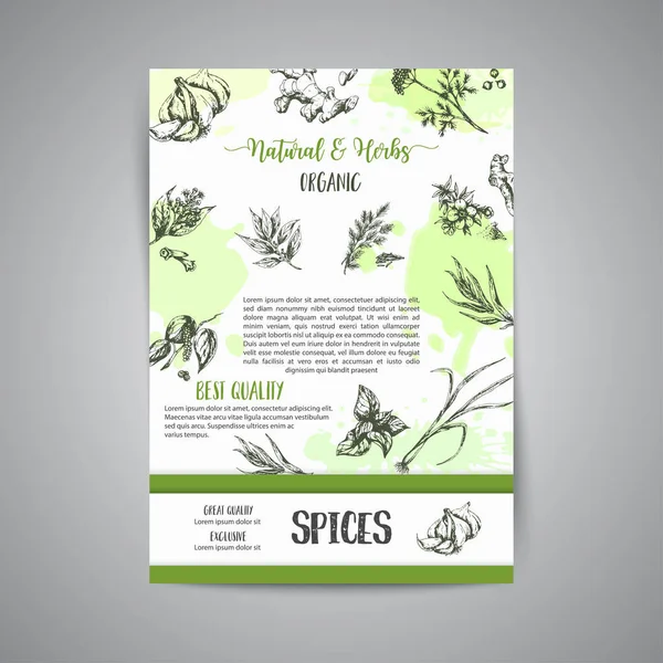 Herbs and spices background. Herb, plant, spice hand drawn set. Organic garden herbs engraving. Botanical sketches. Garlic, ginger, cloves and onion vector — Stock Vector