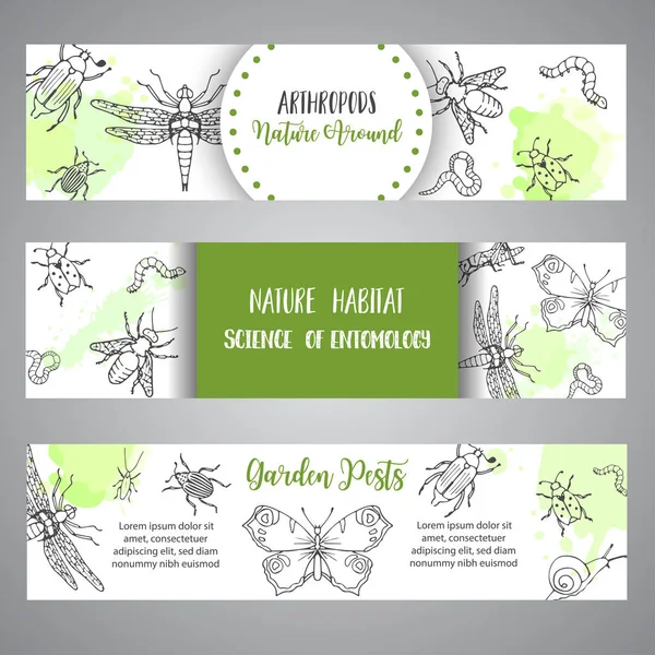 Bugs insects hand drawn banner. Pest control concept. Entomology poster Cartoon illustration of pests and bug. Vector illustration concept — Stock Vector