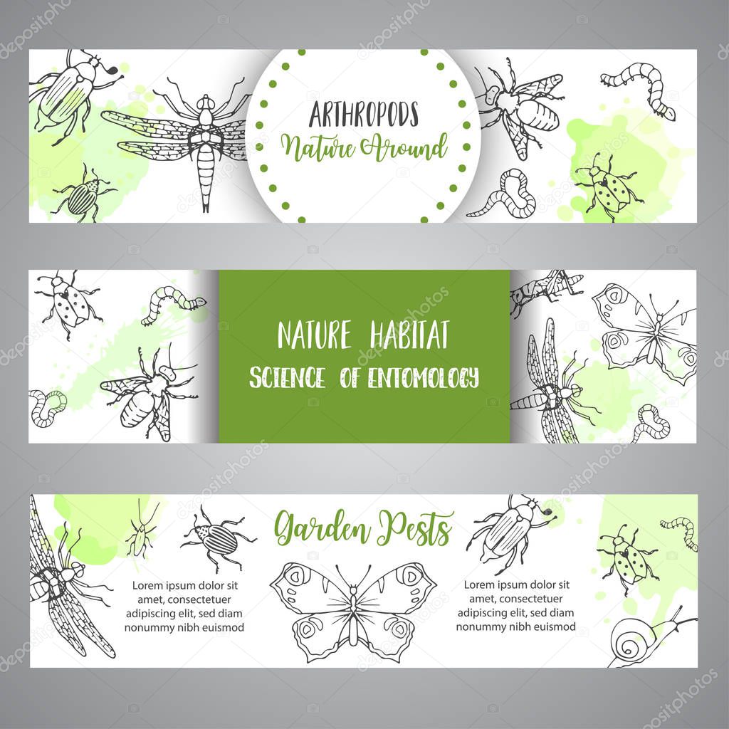 Bugs insects hand drawn banner. Pest control concept. Entomology poster. Cartoon illustration of pests and bug. Vector illustration concepts for web