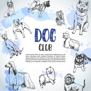 Arka plan el ile köpekler doğurmak çizilmiş. Robot köpek resmi. Ben poster seviyorum köpek metin Fransız buldozer, dachshund, Husky, Yorkshire korkunç