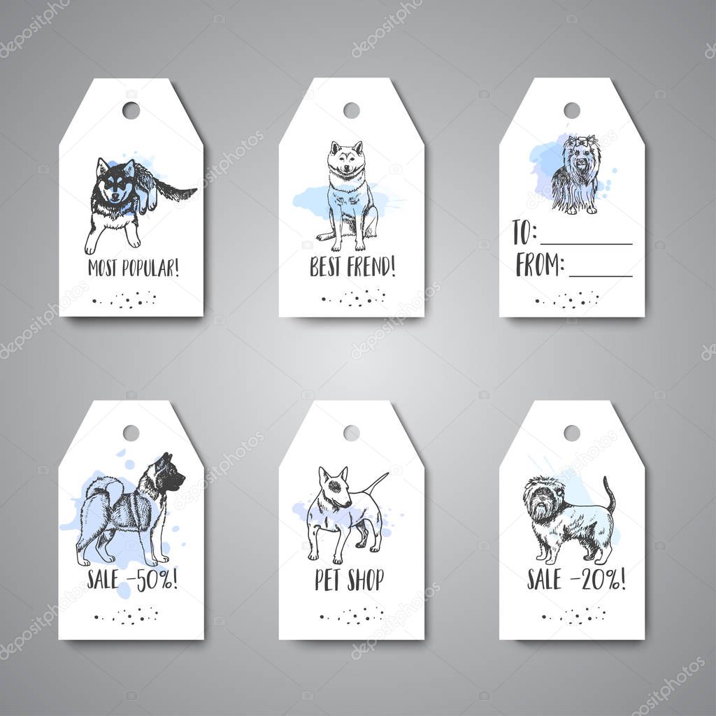 Hand drawn dogs breeds gift tag. Sketch of dog on hanging. French bulldog, dachshund, Husky, Terrier Vector illustration for pet shop, price card, stickers