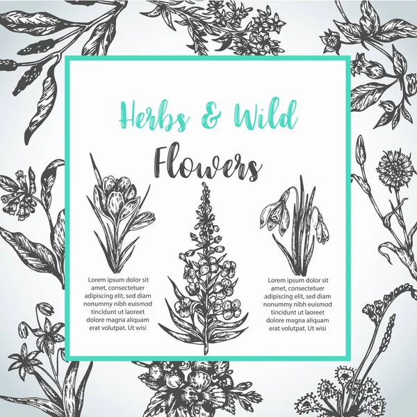 Hintergrund mit handgezeichneten Kräutern und Wildblumen Jahrgang Sammlung von Pflanzen florale Einladung Vektor Illustrationen in Skizze — Stockvektor