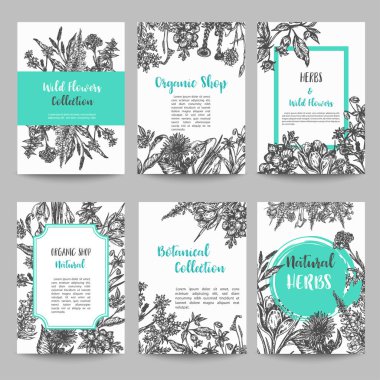 Set of card with hand drawn herbs and wild flowers Vintage collection of plants Floral wedding invitation Vector illustrations in sketch clipart