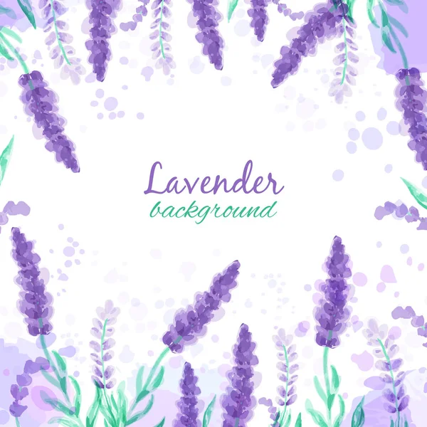 Lavendel achtergrond met bloemen. Aquarel imitatie ontwerp met verf spatten vector illustratie Provence stijl. Tekening voor wenskaarten, uitnodigingen — Stockvector