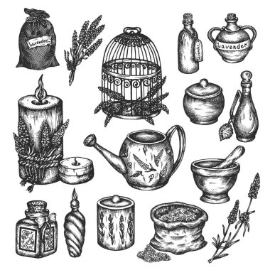 Beyaz vektör el çizilmiş illüstrasyon Provance çiçek tasarımı Vintage koleksiyonu Lavanta Çiçekler mürekkep kroki bitkisel yağ tıbbi bitki üzerinde izole lavanta seti