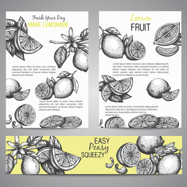 Лимоны Коллекция брошюры ручной работы нарисованные векторные иллюстрации с листьями, винтажный желтый фон Целый лимон, нарезанные куски, половина, листовки и кожуры
