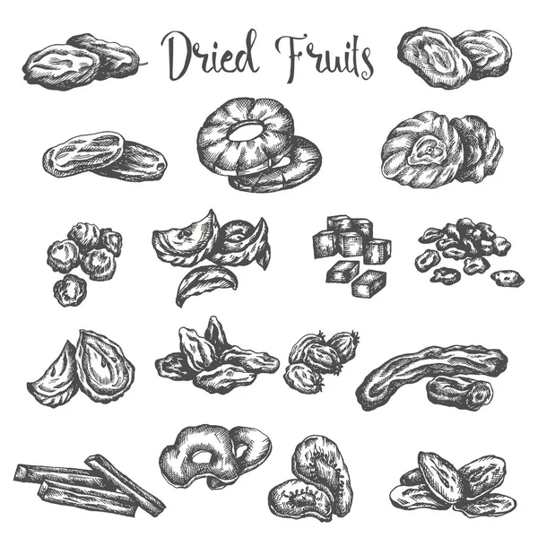 Frutas secas ilustración dibujada a mano. Snack saludable Pasas secas, ciruelas pasas e higos. Bosquejo de piña deshidratada, albaricoque Diseño vectorial para frutería o mercado aislado sobre fondo blanco — Vector de stock