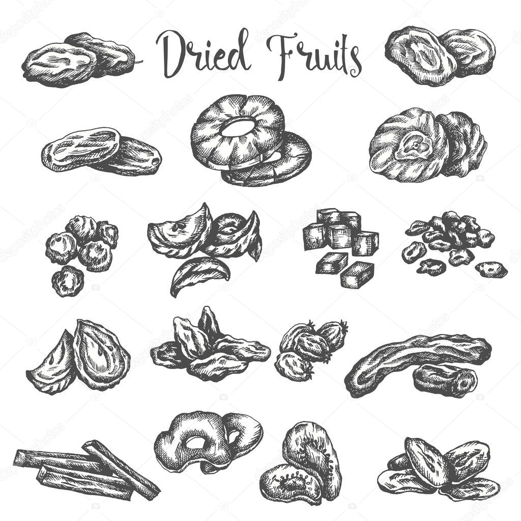 Dried fruits hand drawn illustration. Healthy snack Dry raisins, prunes and figs. Sketch of dehydrated pineapple, apricot Vector design for fruit shop or market isolated on white background