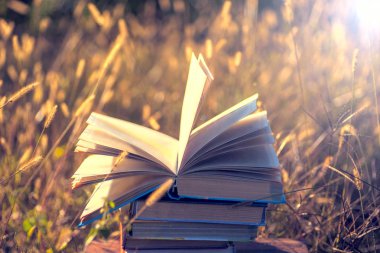 Doğal arka planda tahta masa üzerine açık bir kitap. Yumuşak odak