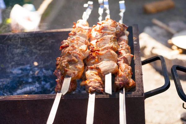 Marine Şaşlık bir barbekü ızgara üzerinde kömür hazırlama. Shashlyk ilk lamb yapıldı. Adam yemek