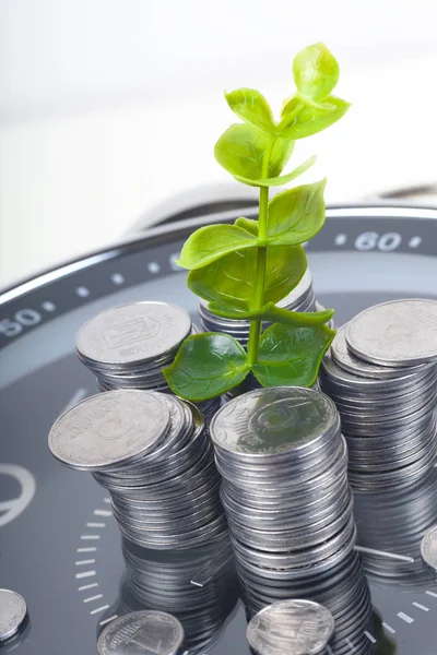 coins with plant and clock, isolated on white background. savings concept