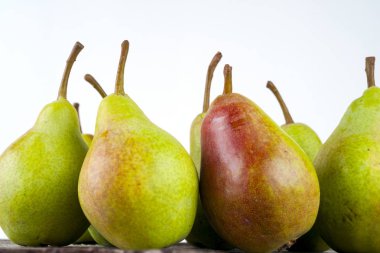 armutlar beyaz arkaplanda izole