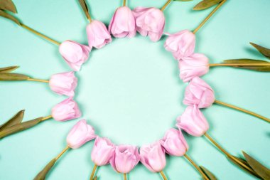 bahar çiçekleri banner - Pembe Lale çiçek mavi gökyüzü arka plan üzerinde grup.