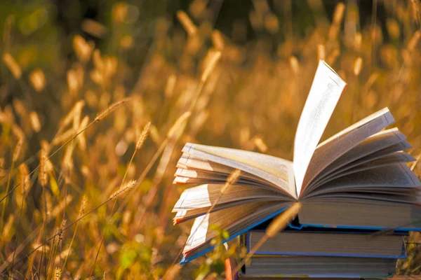 Doğal arka planda tahta masa üzerine açık bir kitap. Yumuşak odak