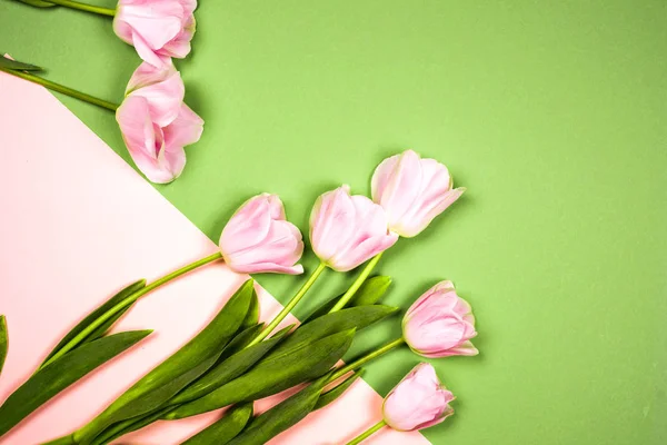 bahar çiçekleri banner - Pembe Lale çiçek mavi gökyüzü arka plan üzerinde grup.