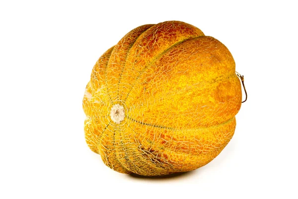 Beyaz arka plan üzerinde izole kavun. Metin için yer kopyalayın