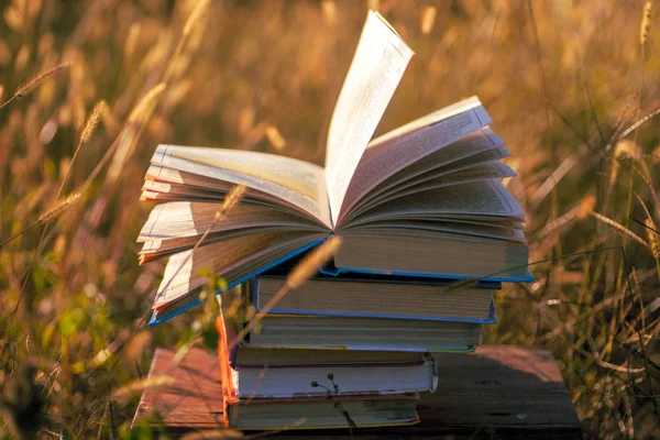 Doğal arka planda tahta masa üzerine açık bir kitap. Yumuşak odak