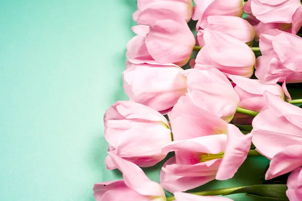 Primavera fiori banner - mazzo di fiori di tulipano rosa su sfondo cielo blu . — Foto Stock