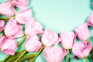 bahar çiçekleri banner - Pembe Lale çiçek mavi gökyüzü arka plan üzerinde grup.