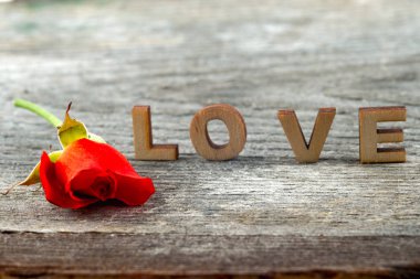 Ahşap üzerine kırmızı gül ile aşk yazım dört rustik alfabe blok