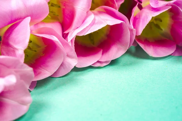 Banner de flores de primavera - ramo de flores de tulipán rosadofondo colorido brillante. —  Fotos de Stock