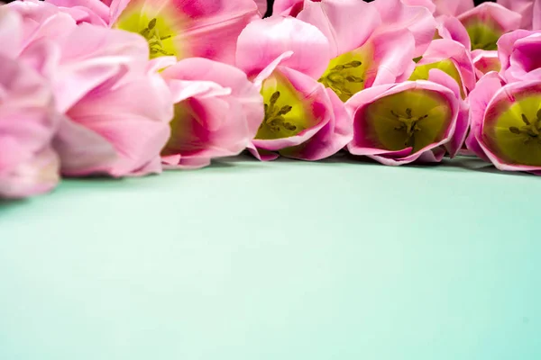 Primavera fiori banner - mazzo di fiori tulipano rosaluminoso sfondo colorato. — Foto Stock