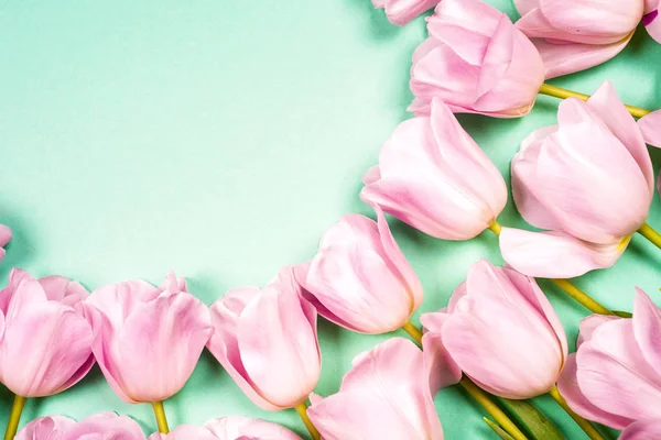 spring flowers banner - bunch of pink tulip flowersbright colorful background.