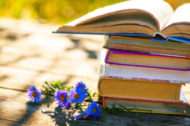 Doğal arka planda tahta masa üzerine açık bir kitap. Yumuşak odak