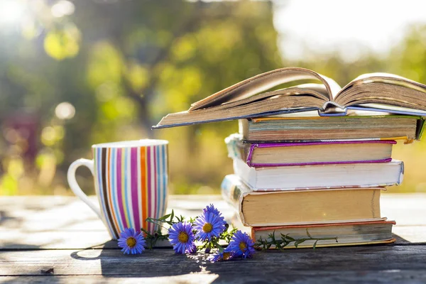 Doğal arka planda tahta masa üzerine açık bir kitap. Yumuşak odak
