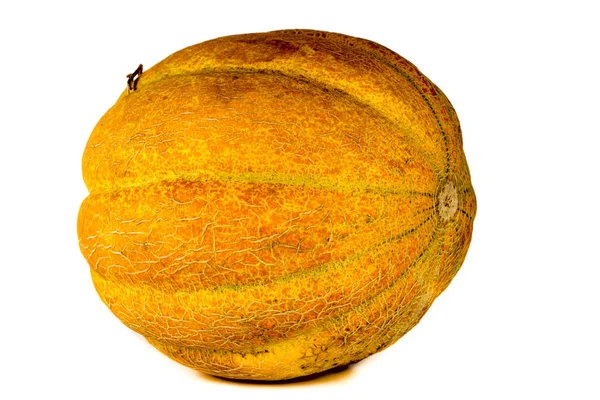 Melon isolerad på vit bakgrund. Kopiera utrymme för text — Stockfoto