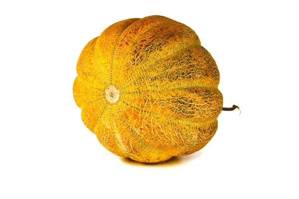 Beyaz arka plan üzerinde izole kavun. Metin için yer kopyalayın