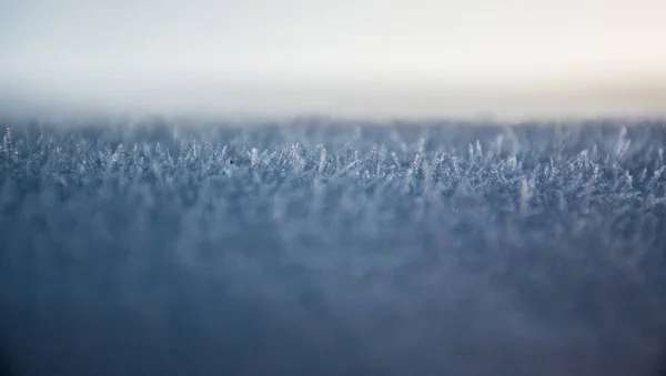 Frost the top layer of snow like hair or wool