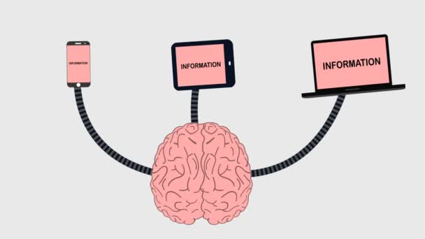 Cerebro Recibiendo Información Los Medios Comunicación — Vídeo de stock